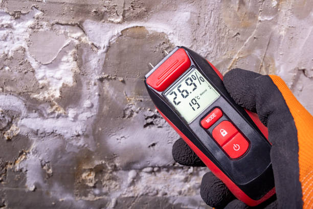 Best Office Mold Removal Services  in Chamblee, GA